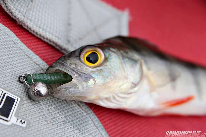 Изображение 1 : Первое впечатление о спиннинге Crazy Fish Perfect Jig 76-UL-SS. Когда рыбалка в удовольствие. 