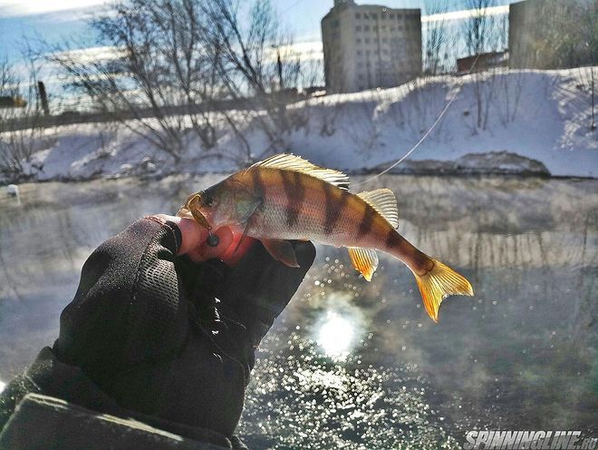 Изображение 1 : Суровый зимний казанский Street Fishing. Или, когда невтерпёж.